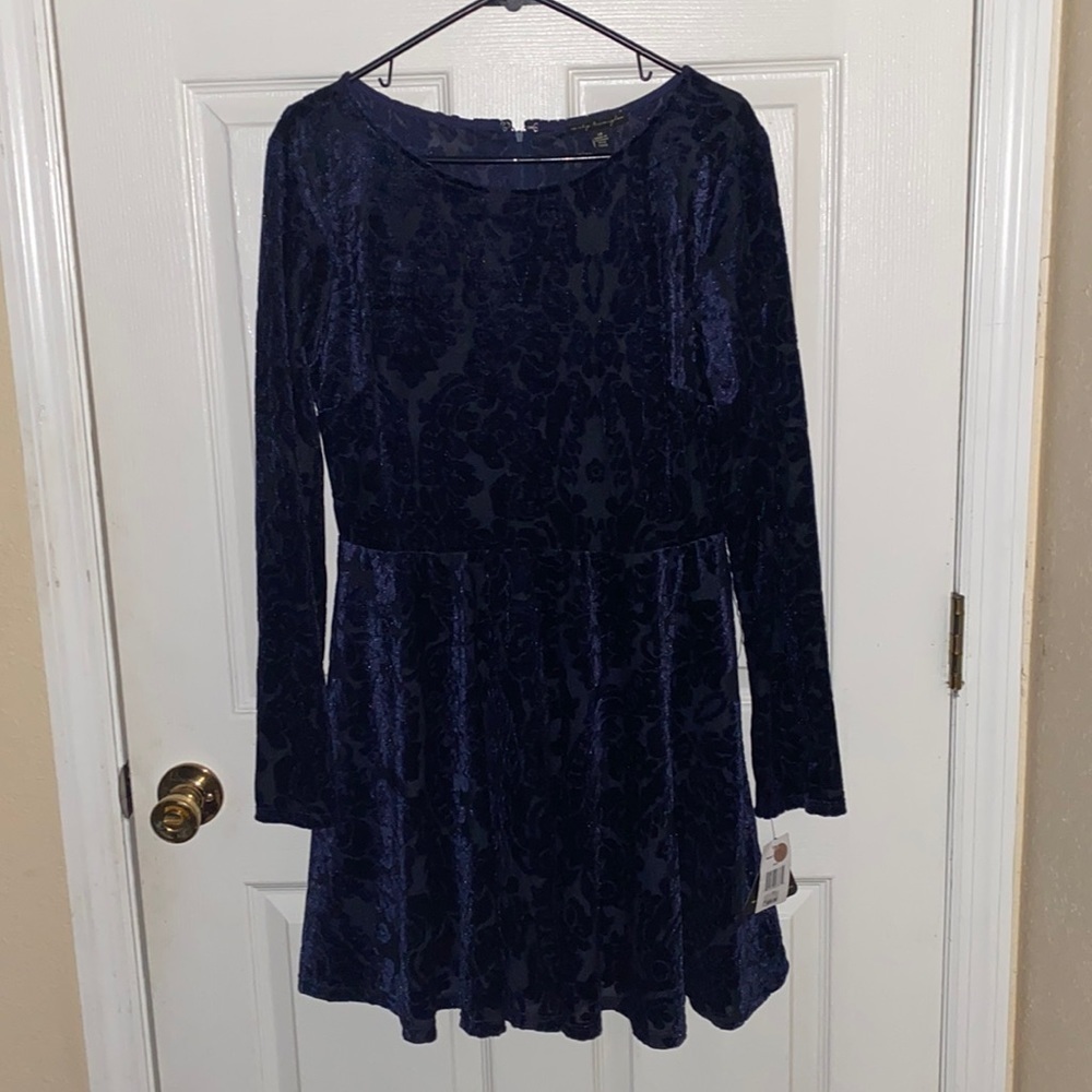 Long Sleeve Velvety Dress